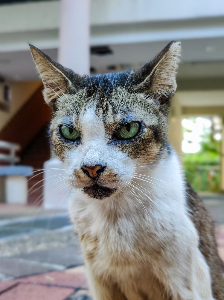 Photograph by Nicholas Ng