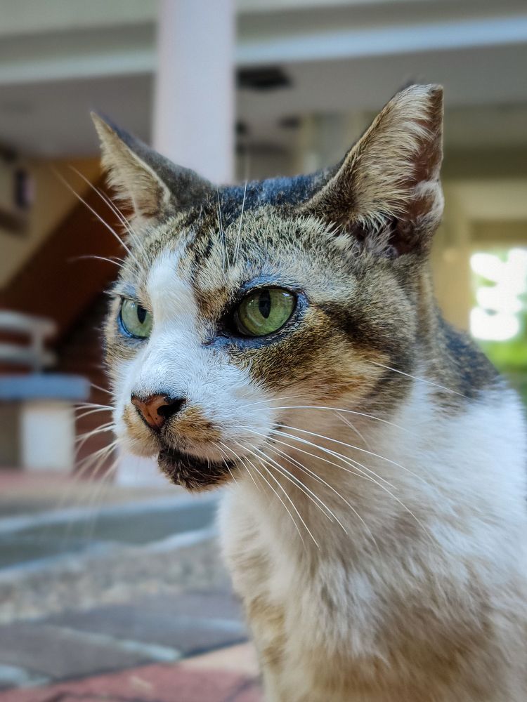 Photograph by Nicholas Ng