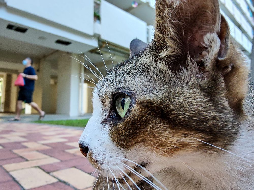 Photograph by Nicholas Ng