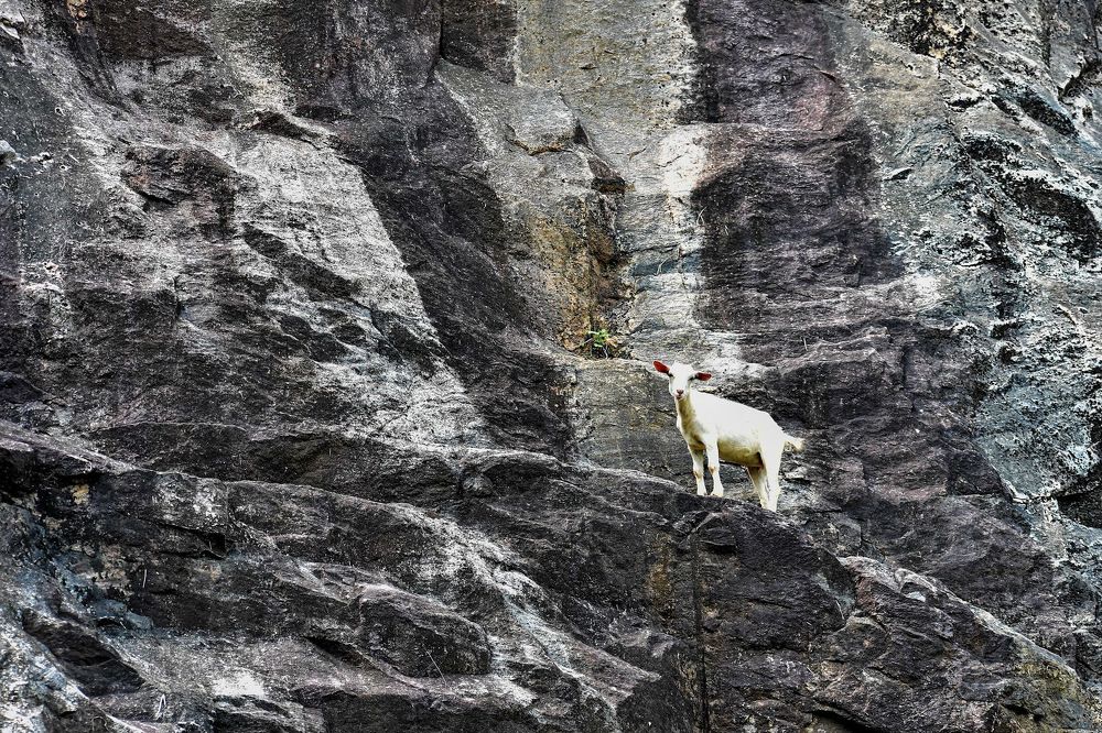 Photograph by Kamal Bhattacharjya