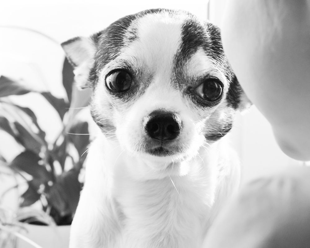 Photograph by Ирина Иванова