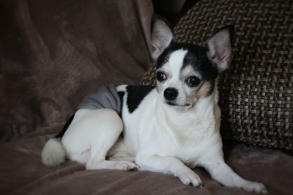 Photograph by Ирина Иванова