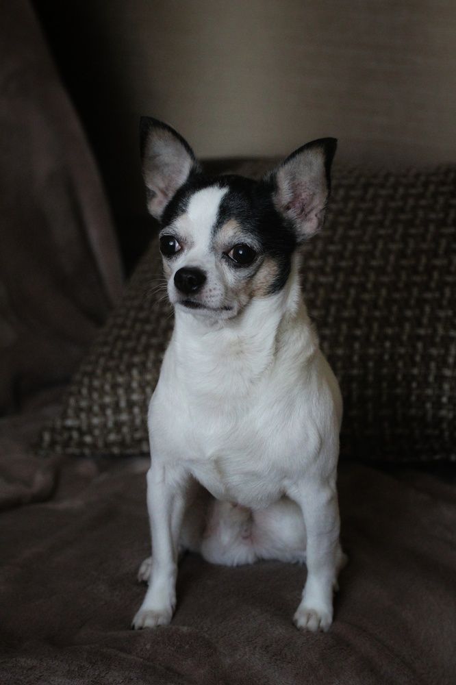 Photograph by Ирина Иванова