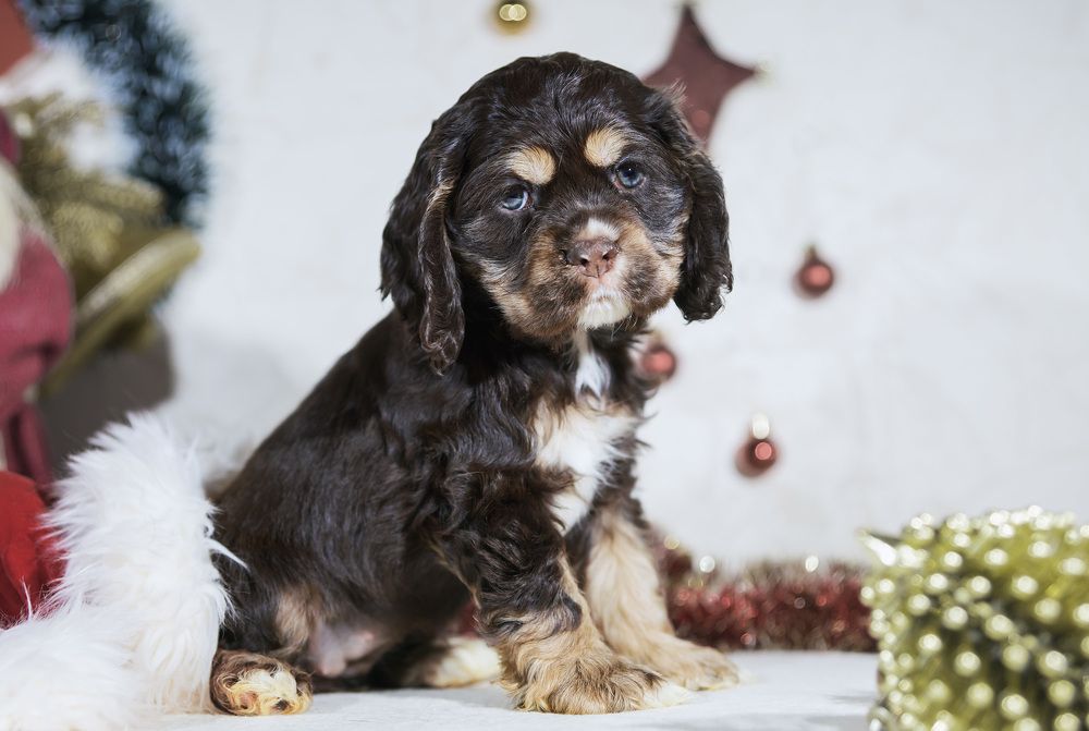 Photograph by Олег Милеев (Каминцев)