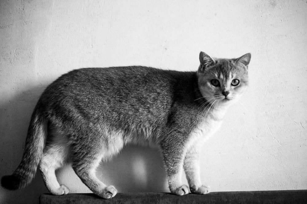 Photograph by Игорь Шашко