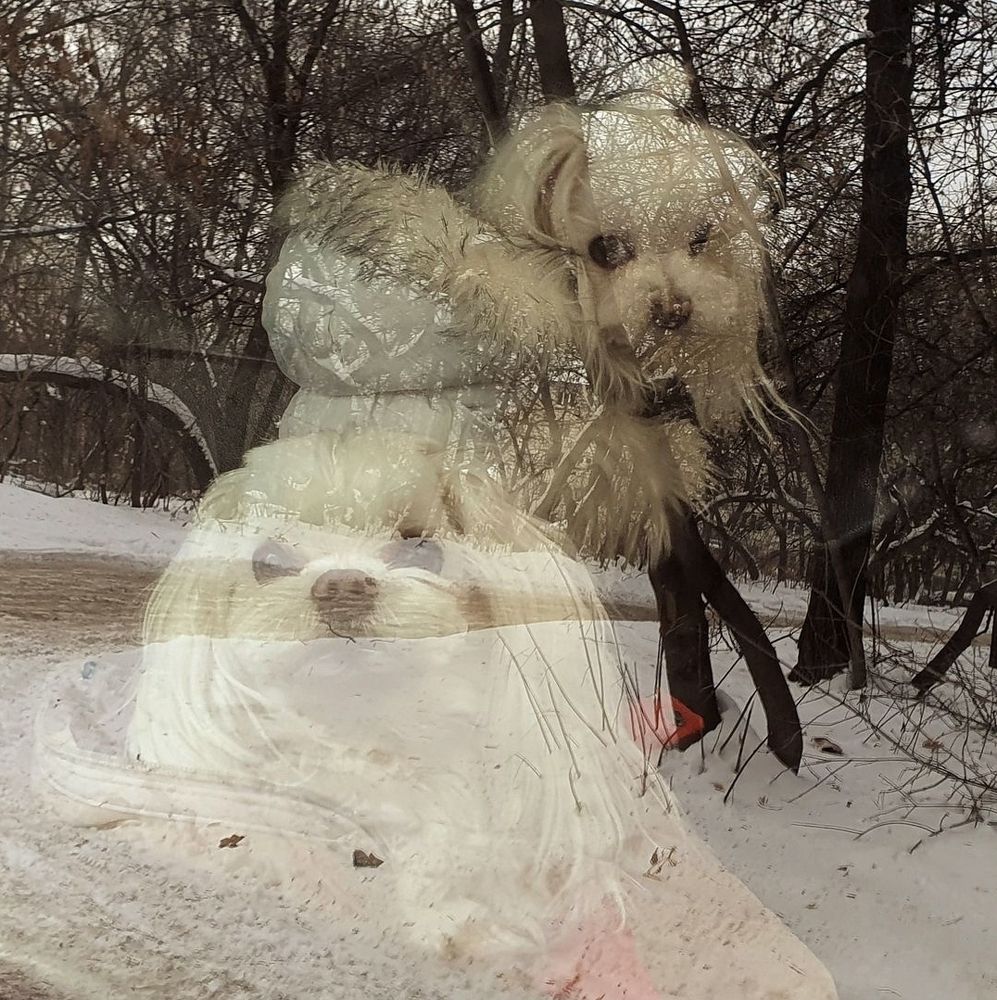 Обида сквозь стекло