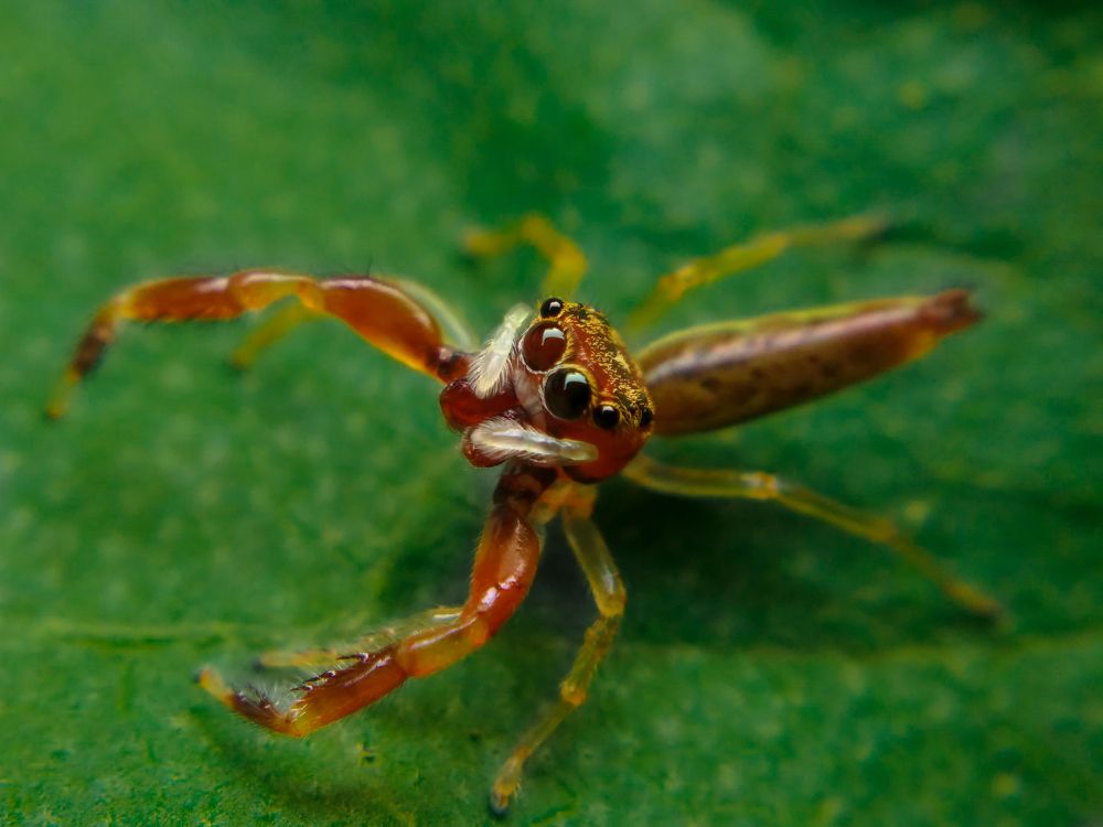 Photograph by SIVAPRASAD K A