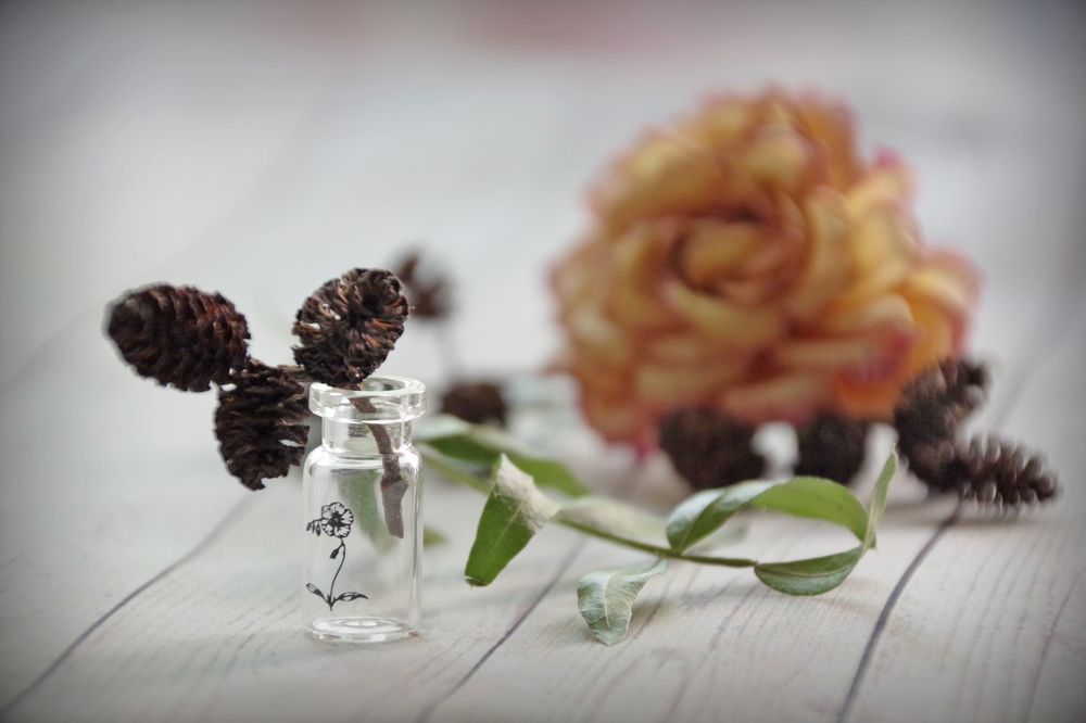 Photograph by Елена Щитова