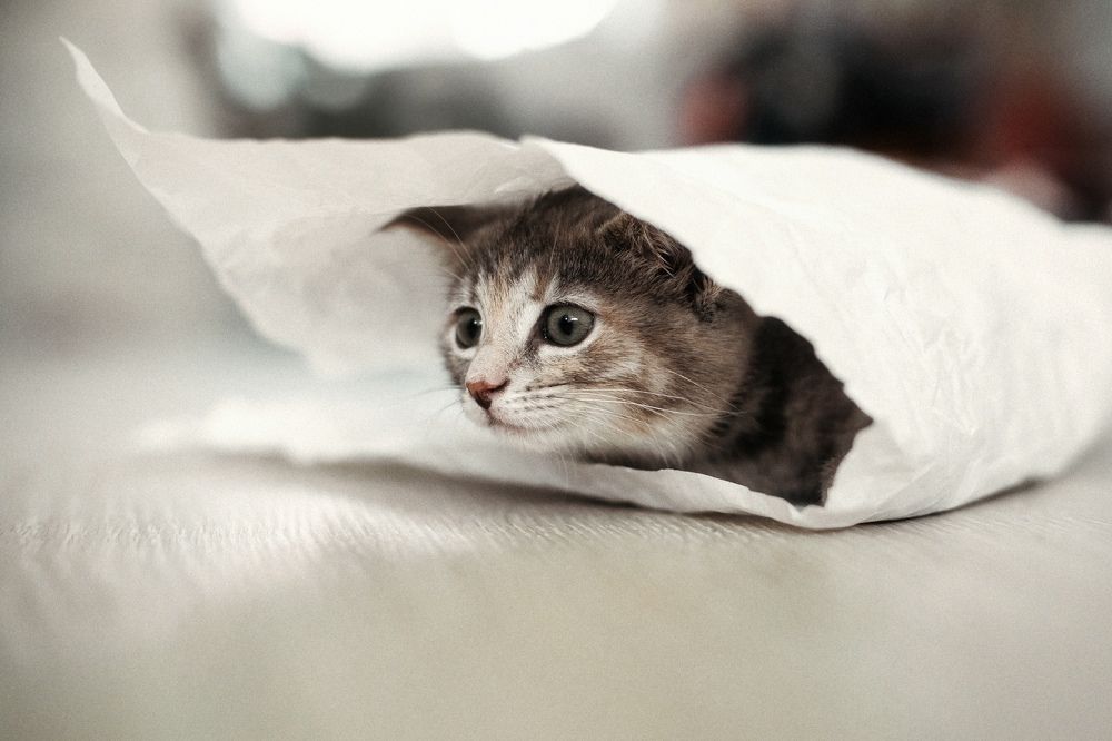 Photograph by Анастасия Голубева