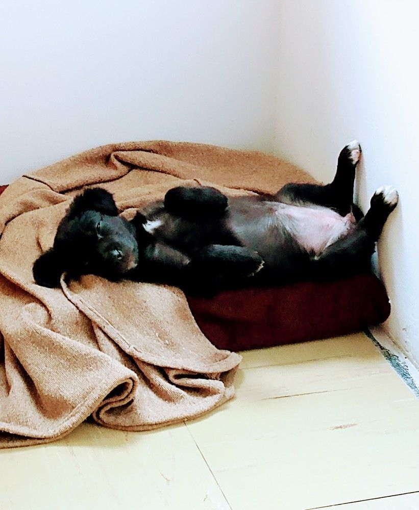 Photograph by José Luis Mendoza Machado