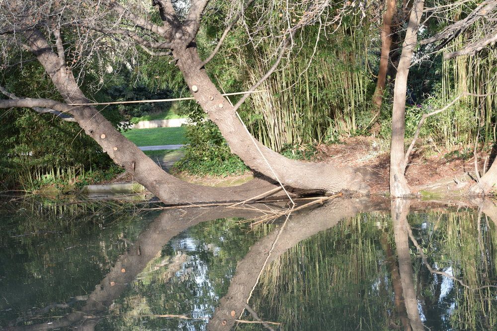 Photograph by Marina Eremin