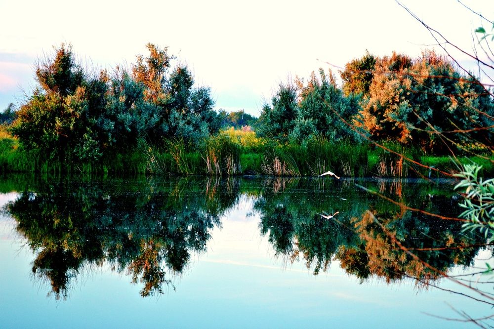 Photograph by Elen Sheina