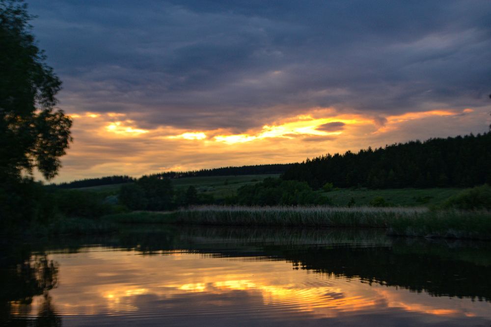 Photograph by Elen Sheina