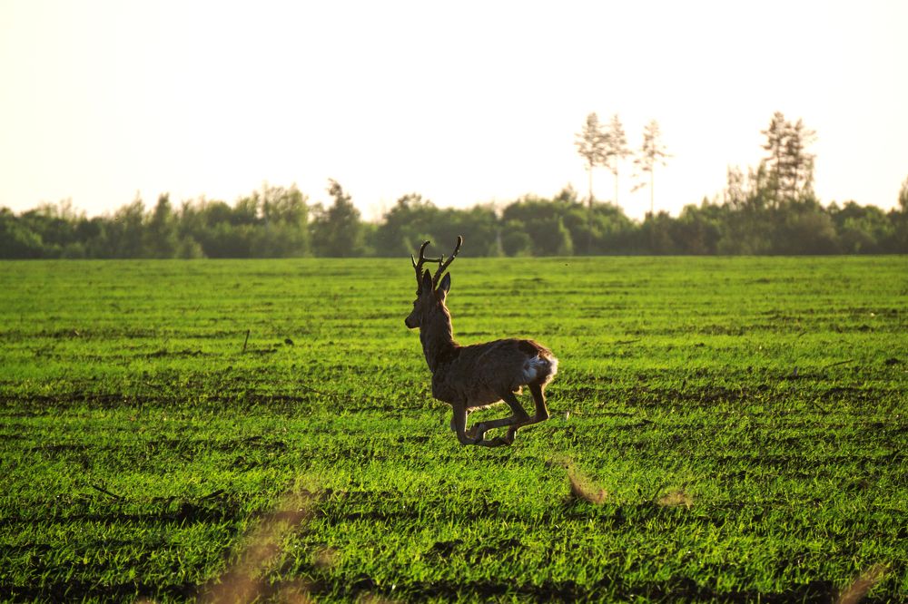 Photograph by Натали Габеева