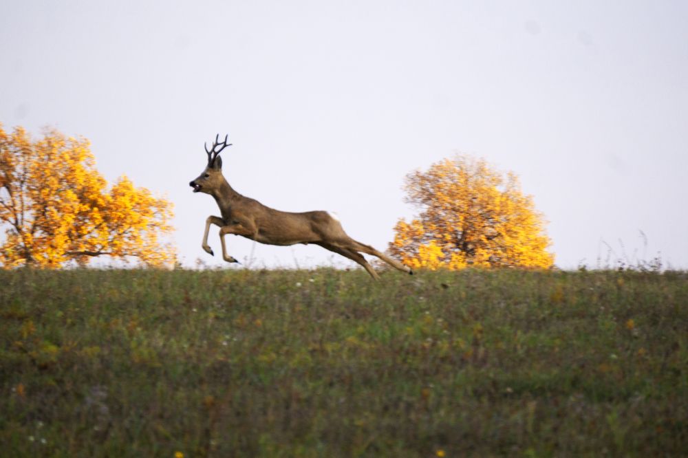 Photograph by Натали Габеева