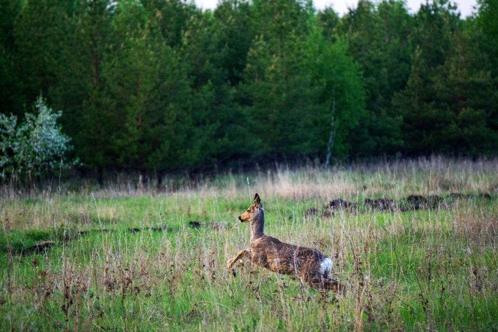 Photograph by Натали Габеева