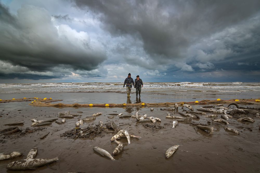 The moment of fish death