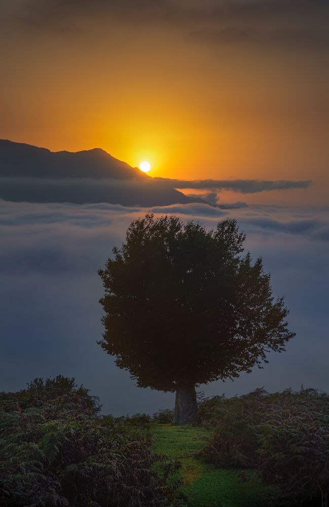 Photograph by Riahi Hosein