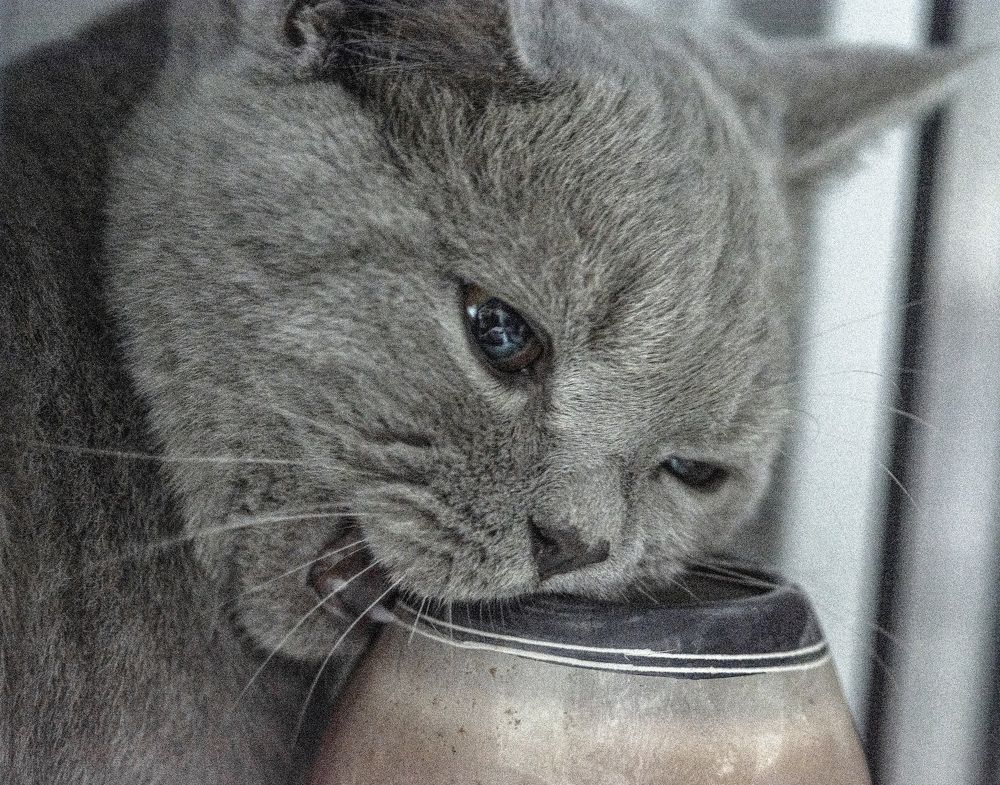 Photograph by Виктория Гунько