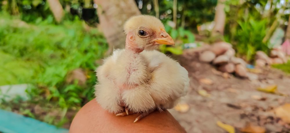 Photograph by Jear Cautivar