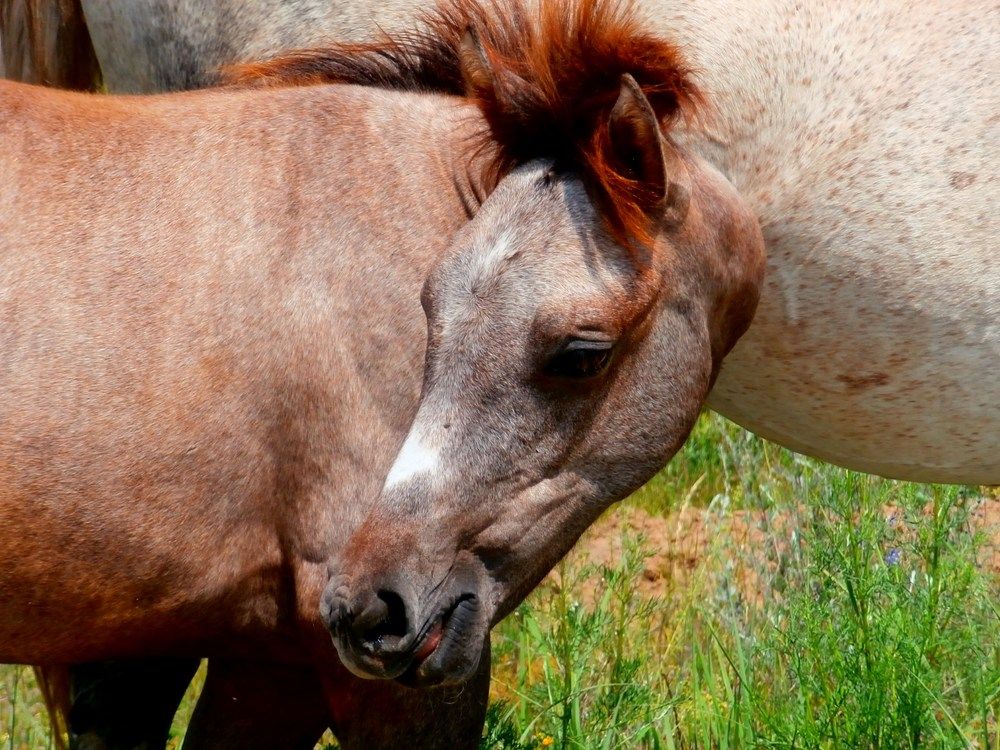 Photograph by ,Бурова Лариса