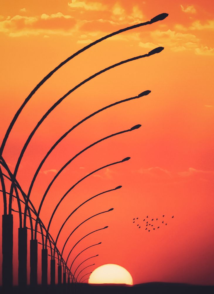 The beauty of the sunset.