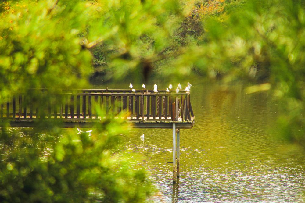 Фотография автора Maria Alexandra Fountali