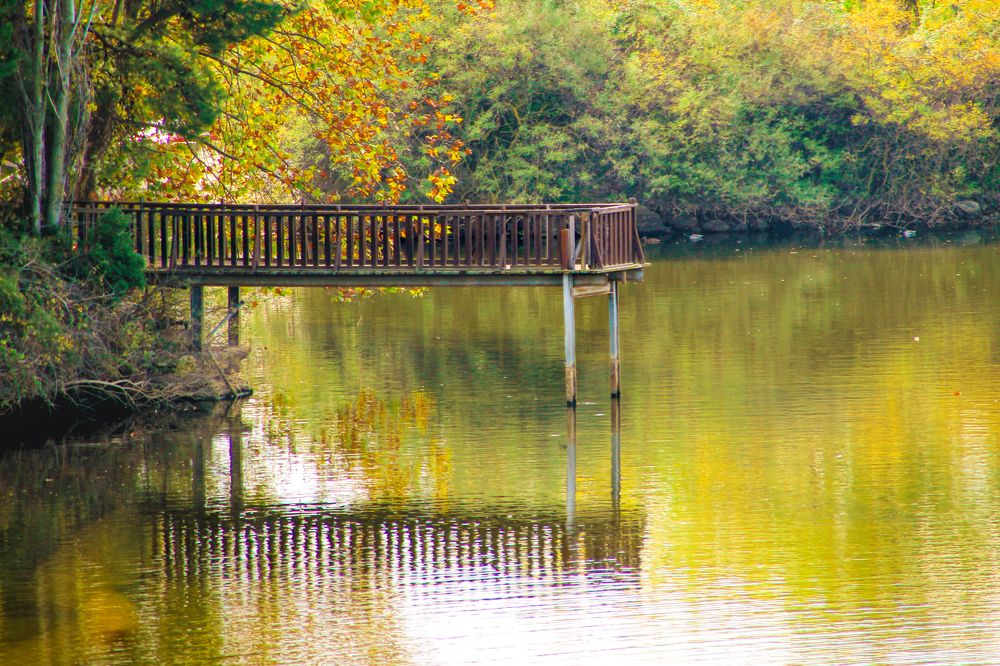Фотография автора Maria Alexandra Fountali