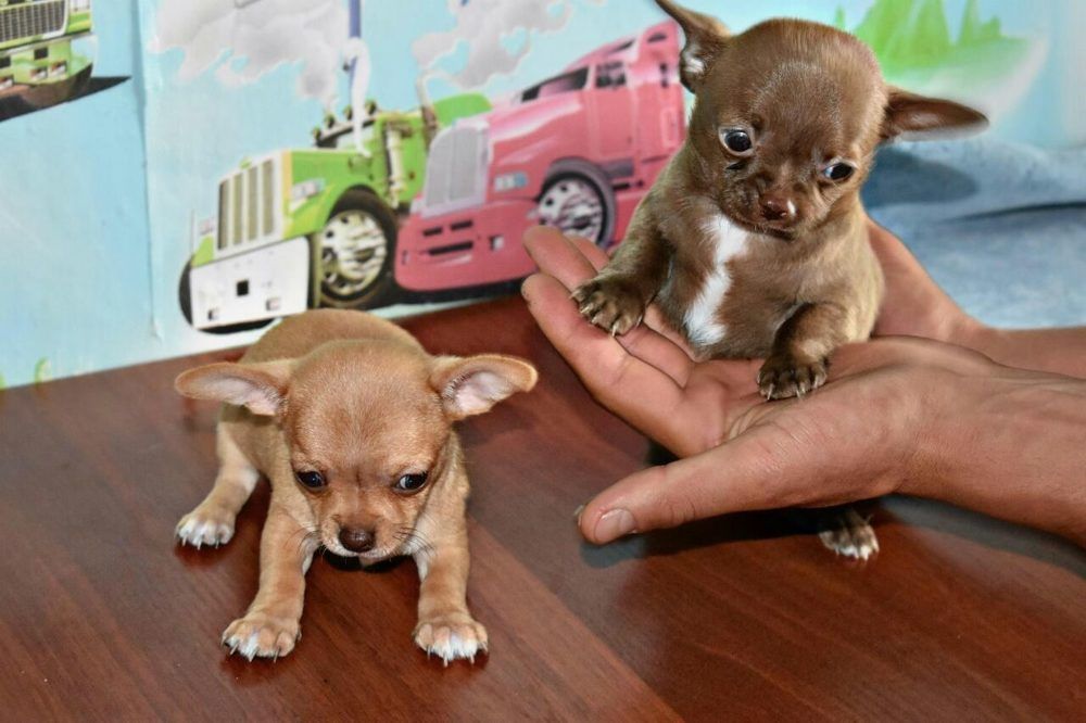 Photograph by Валентина Ильиных