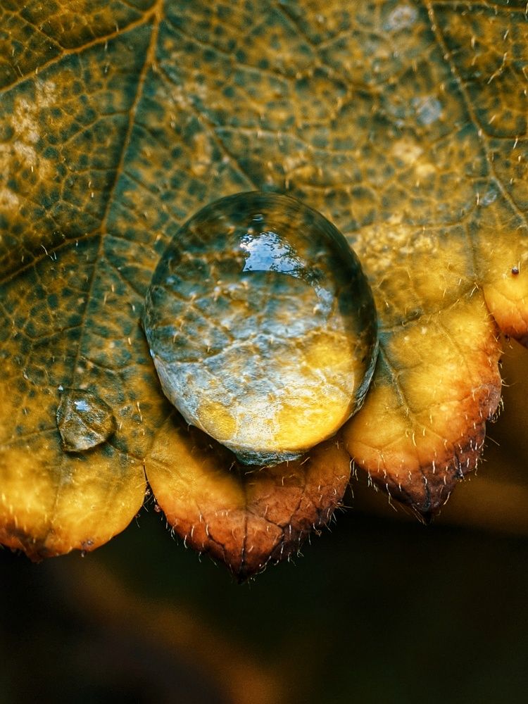Photograph by Ali goreishi1