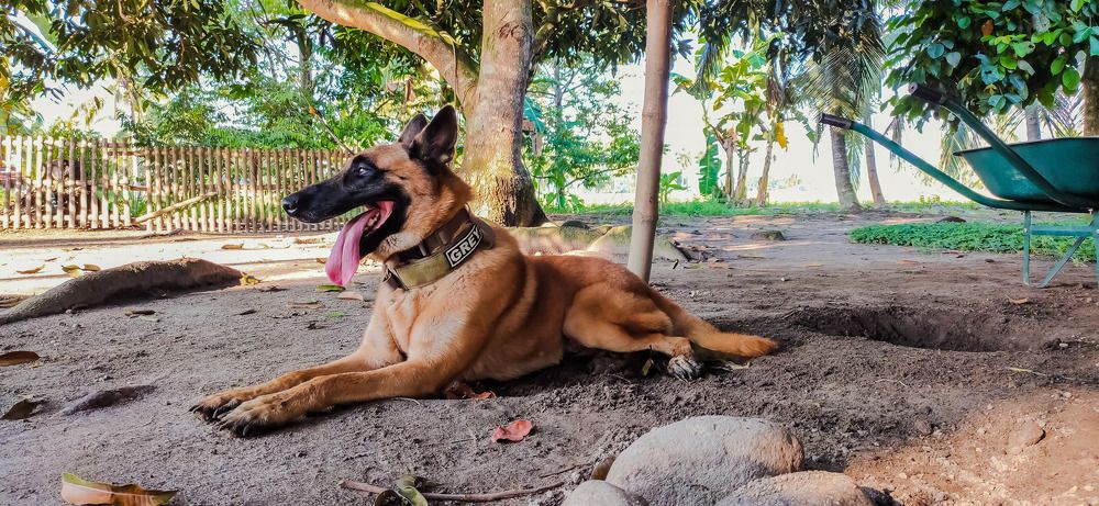 Photograph by Jear Cautivar