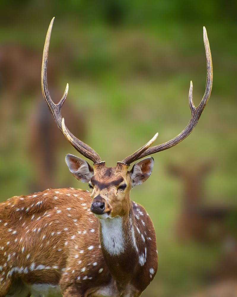 Фотография автора Kumar Sharath