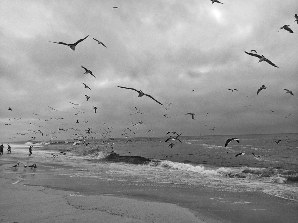 Photograph by Mariana Pereira