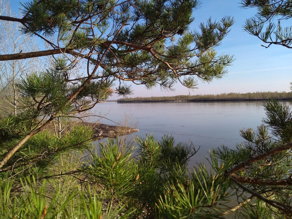 Photograph by СТЕПАН ДЖУЛАКИДЗЕ