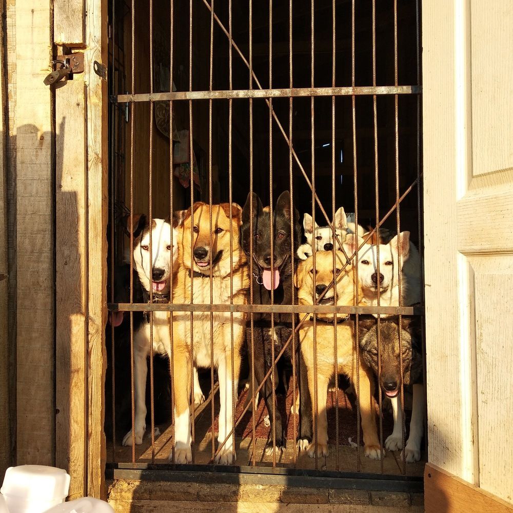 В ожидании счастья