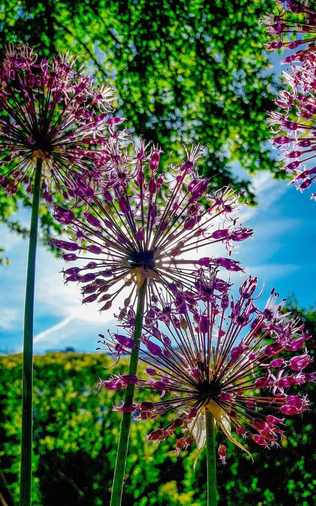 Photograph by Дмитрий Батейкин