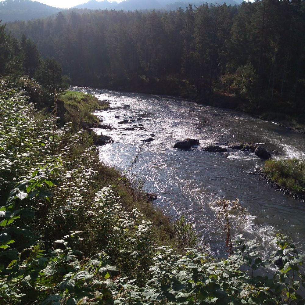 Photograph by СТЕПАН ДЖУЛАКИДЗЕ