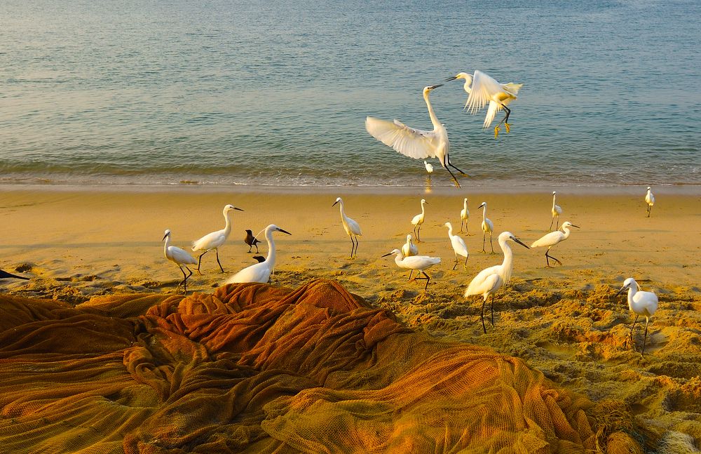 Photograph by Sarathlal Sasidharan