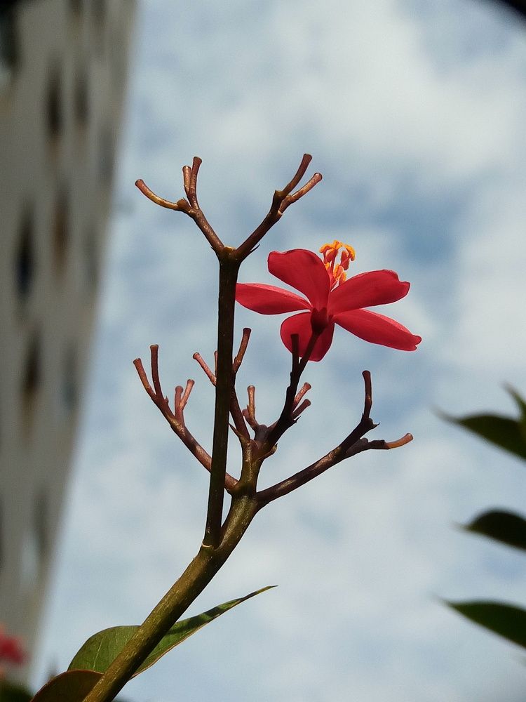 Photograph by @mashurphoto