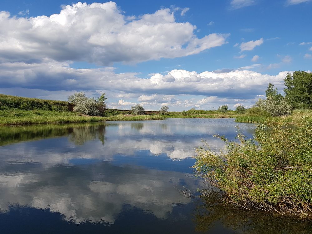 Волшебство безмолвия
