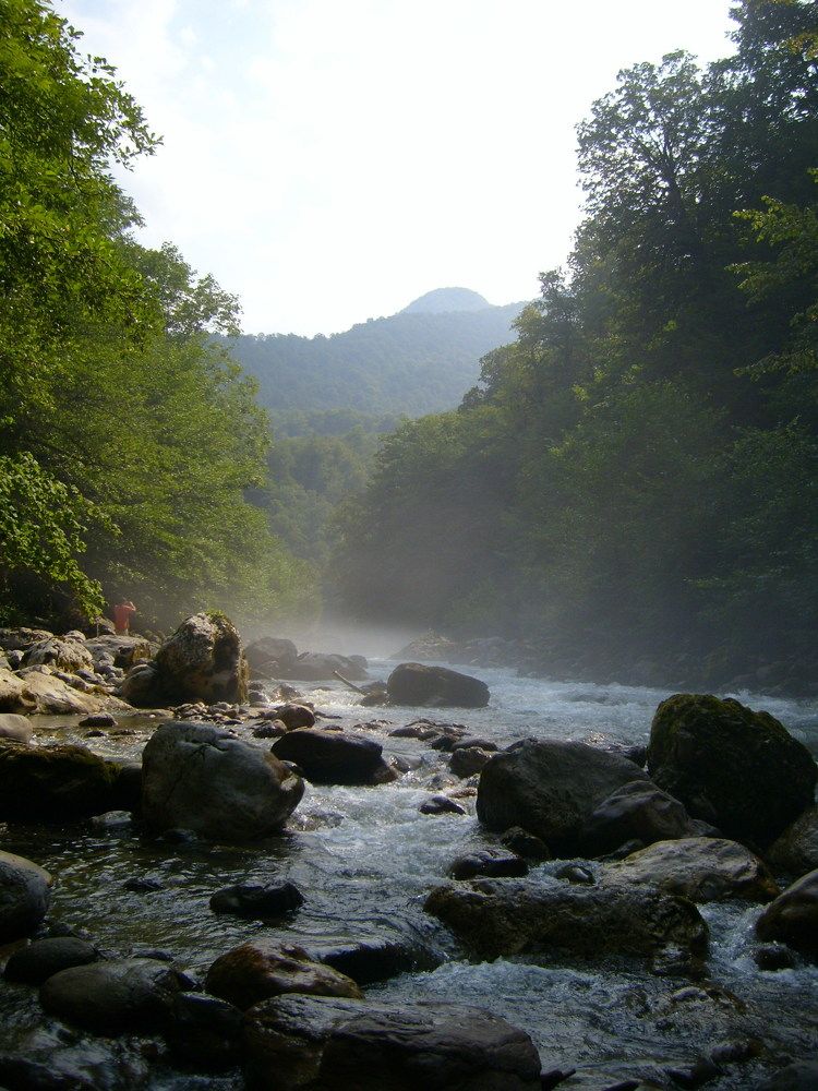 Photograph by Андрей