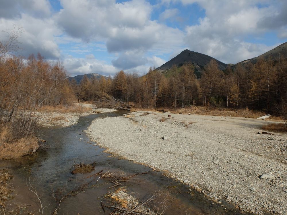 Photograph by Ираида Стародубцева