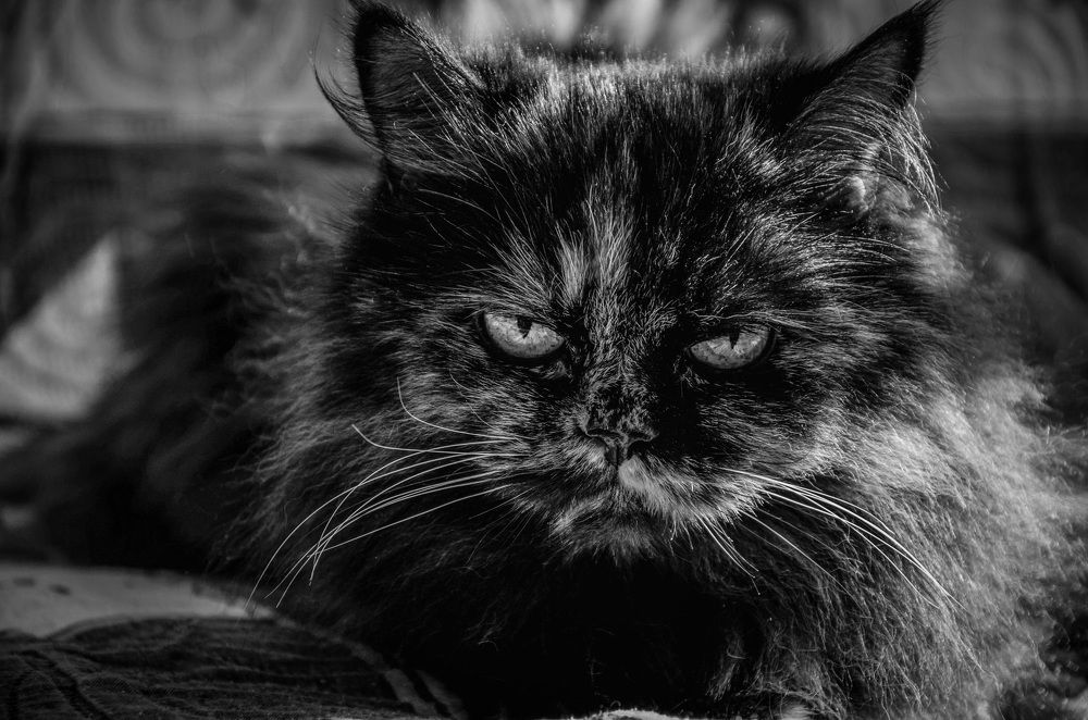 Photograph by Виктория Кудина