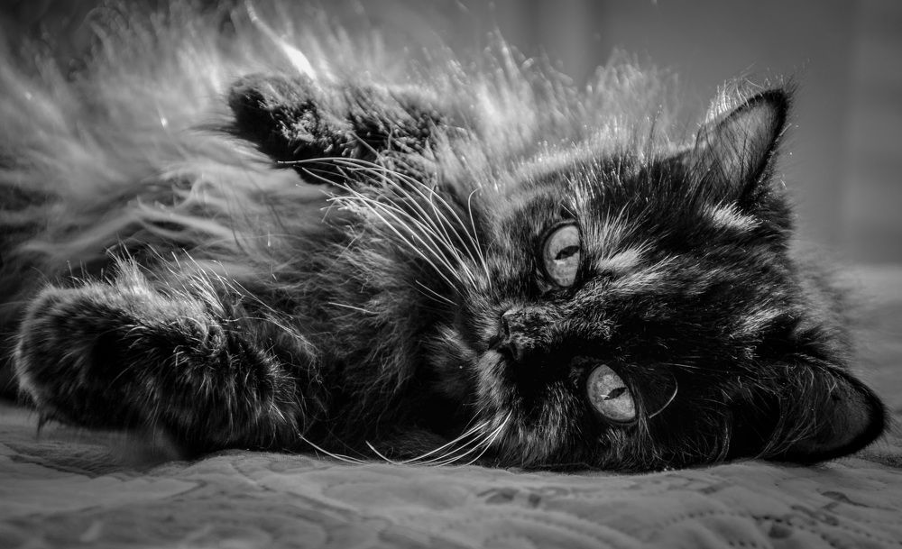 Photograph by Виктория Кудина