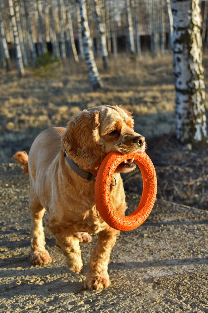 Photograph by Игорь