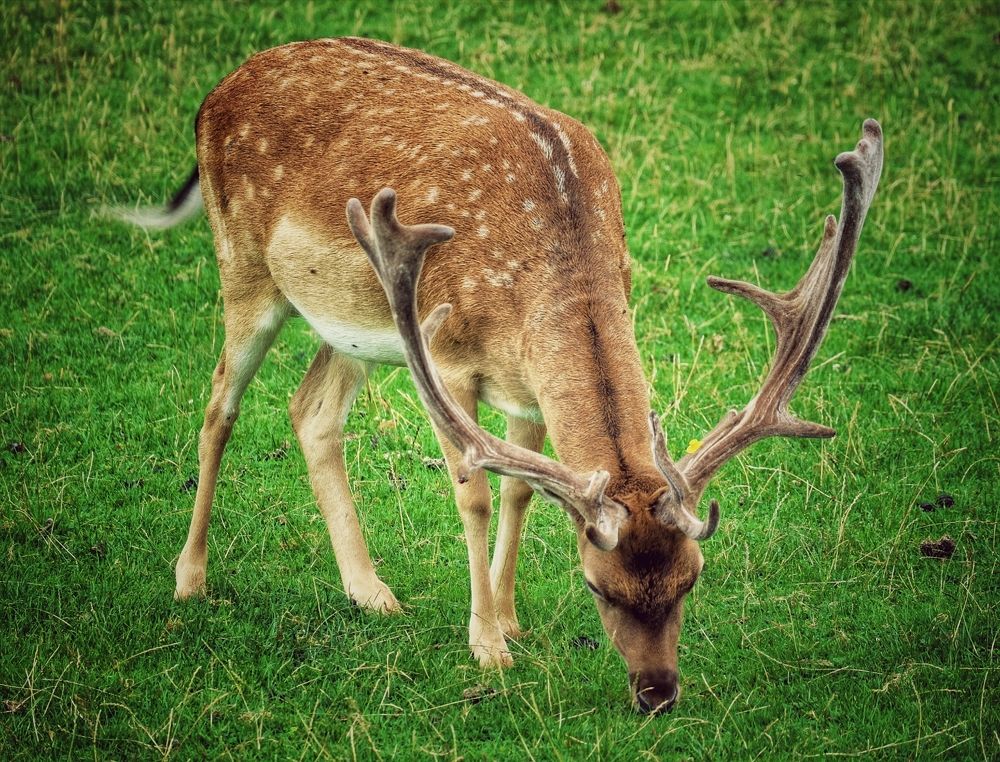 Photograph by Eva Wiedemann