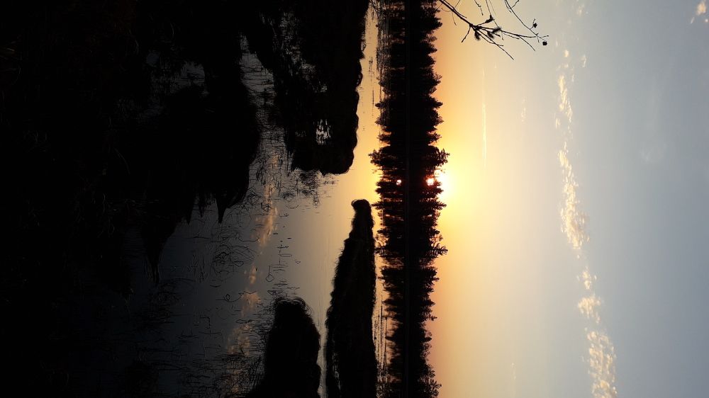 Photograph by Дмитрий Юдин