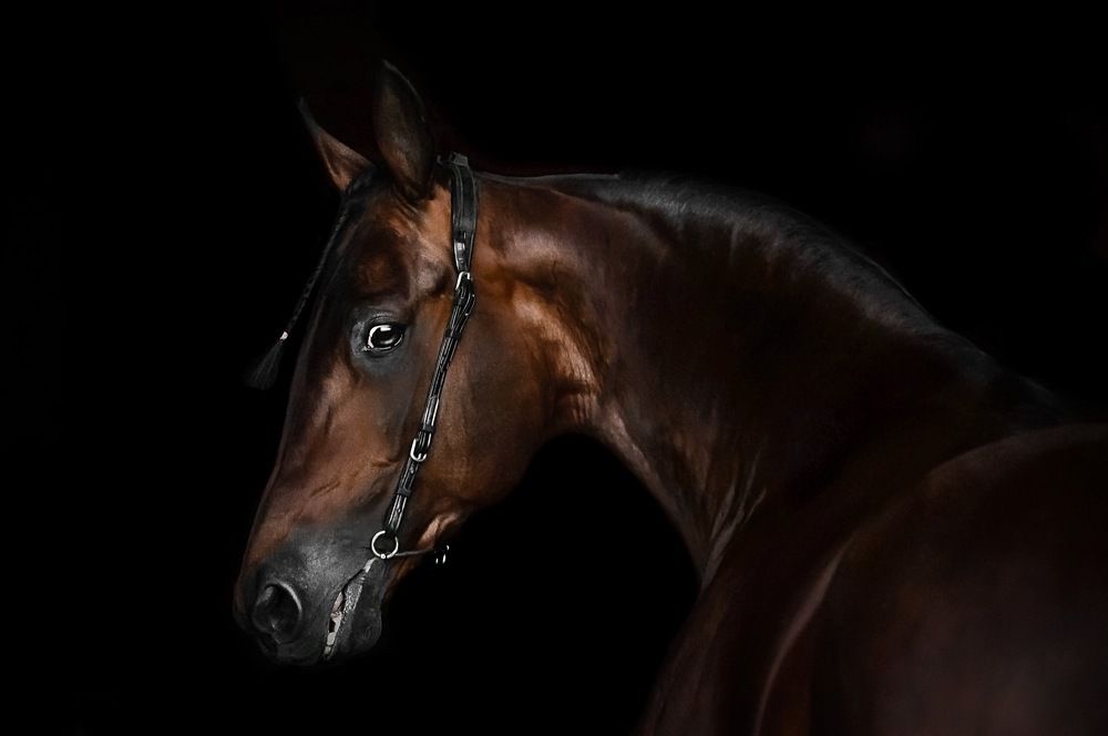 Photograph by Ульяна Майстренко