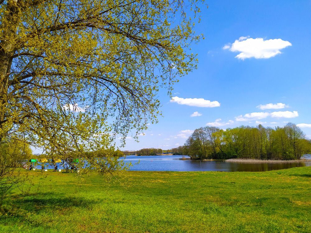 Photograph by Ирина Половцева