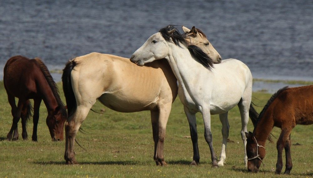Photograph by Валентина Лопаткина